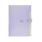 Beniamin, teczka plastikowa z 5 przegródkami A4, fioletowa, 1 szt.