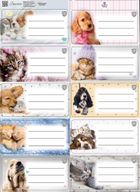 Beniamin, The Sweet Pets, naklejki na zeszyty