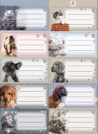 Beniamin, The Sweet Pets, naklejki na zeszyty pasek