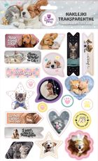 Beniamin, The Sweet Pets, naklejki ozdobne