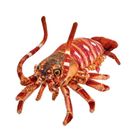 Beppe, Homar, maskotka, 33 cm