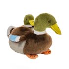 Beppe, Kaczka krzyżówka z dzieckiem, maskotka, 20 cm