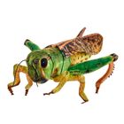 Beppe, Konik polny, maskotka, 41 cm