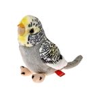 Beppe, Papuga falista, maskotka, szara, 13 cm