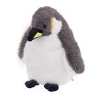 Beppe, Pingwin cesarski, maskotka, 20 cm