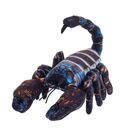 Beppe, Skorpion, maskotka, czarny, 38 cm