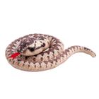 Beppe, Wąż zwinięty, maskotka, brązowy, 50 cm