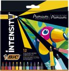 Bic, Intensity Premium, fllamastry, 12 kolorów