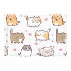 Biurfol, okładka na dokumenty ucznia małe, z nadrukiem, kittens, 1 szt.