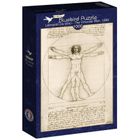 Bluebird, Leonardo Da Vinci 1490, puzzle, 1000 elementów