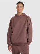 Bluza męska z kapturem, brązowa, 4F