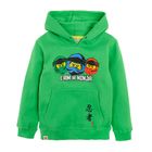 Bluza z kapturem chłopięca, zielona, Lego Ninjago