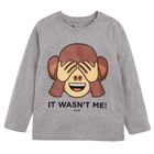 Bluzka chłopięca z długim rękawem, szara, małpka, Emoji
