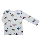 Bluzka chłopięca z długim rękawem, szara, Nicol