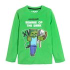 Bluzka chłopięca z długim rękawem, zielona, Minecraft