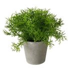 Boltze Home, Fern, sztuczna roślina w cementowej doniczce, 17 cm