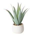 Boltze Home, sztuczna roślina aloes w donicze, Mondrago, 29 cm