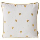 Boltze, poduszka dekoracyjna z metaliczną lamówką, Dilara, 45-45 cm