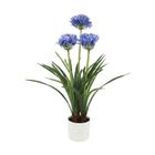 Botanical Decoration, Agapant, sztuczny kwiat w doniczce, 50-80 cm