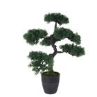 Botanical Decoration, sztuczne drzewko bonsai w doniczce, 32-32-50 cm