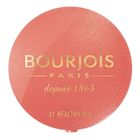 Bourjois, Pastel Joues, wypiekany róż, 41 Healthy Mix, 2,5 g