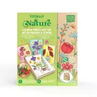 Box Candiy, zestaw artystyczny z prasą do suszenia roślin