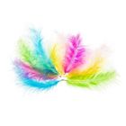 Brewis, piórka indycze, pastelowe, 10-15 cm