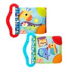 Bright Starts, Książeczka, gryzak