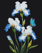 Brushme, malowanie po numerach, irysy, 40-50 cm