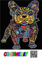 Buldog Francuski. Kolorowanka welwetowa, 47-35 cm