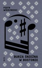 Burza śnieżna w Bostonie