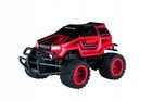 Carrera, Wild Cruiser, auto na radio