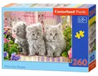 Castor, Three Grey Kittens, puzzle, 260 elementów