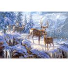 Castorland, Światło zimą w górach, puzzle, 1000 elementów