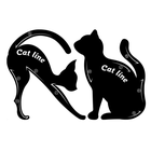 Cat Eye Card, wielofunkcyjny szablon do malowania oczu, 2 szt.