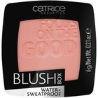 Catrice, Blush Box Water + Sweatproof, wodoodporny róż do policzków, 025 Nude Peach, 6g