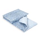 Ceba Baby, kocyk niemowlęcy z poduszką, jasnobłękitny, 75-100 cm