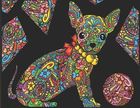 Chihuahua! Kolorowanka welwetowa A4