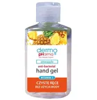 Chlapu Chlap, antybakteryjny żel do higieny rąk, ananas, 60 ml