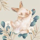 Clear Creations, karnet Swarovski, kwadrat, CL4708 Królik