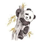 Clear Creations, karnet, złocony kwadrat, Panda