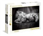 Clementoni, High Quality, Kotek, puzzle, 1000 elementów