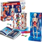 Clementoni, Naukowa Zabawa, Ciało ludzkie, zestaw naukowy