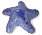 Cloud B, Tranquil Starfish, rozgwiazda, lampka