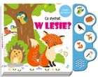 Co słychać w lesie?