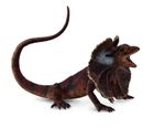 Collecta, Jaszczurka Agama Kołnierzasta, figurka, 88690