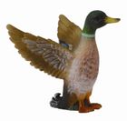 Collecta, Kaczka Krzyżówka Samiec, figurka, 88378