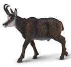 Collecta, Kozica Północna, figurka, 80045