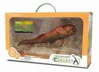 Collecta, ryba prehistoryczna Dunkleosteus, figurka