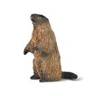 Collecta, Świstak, figurka, 80044